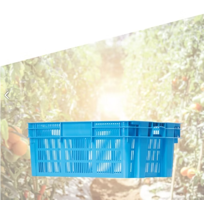 Plastic Box / Agriculture, Marine & Poultry Series
