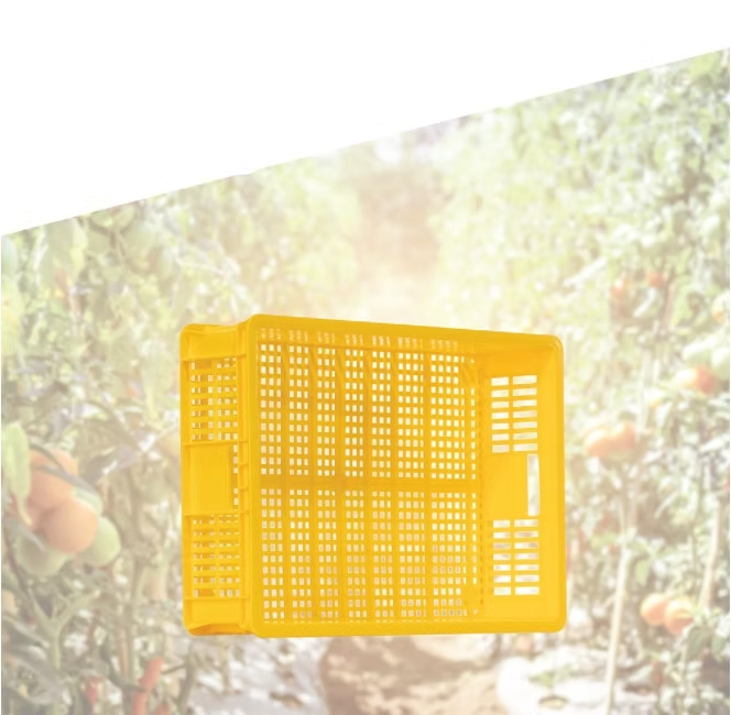 Plastic Box / Agriculture, Marine & Poultry Series